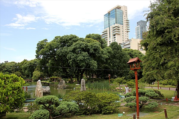239-Японский сад